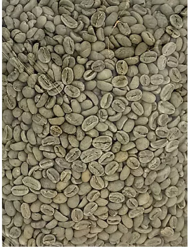 Ethiopian Green Coffee 1 Kg